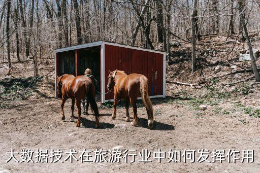 大数据技术在旅游行业中如何发挥作用