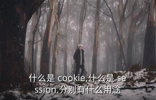 什么是 cookie,什么是 session,分别有什么用途