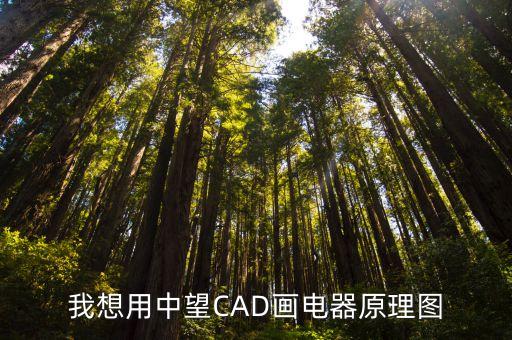 我想用中望cad画电器原理图