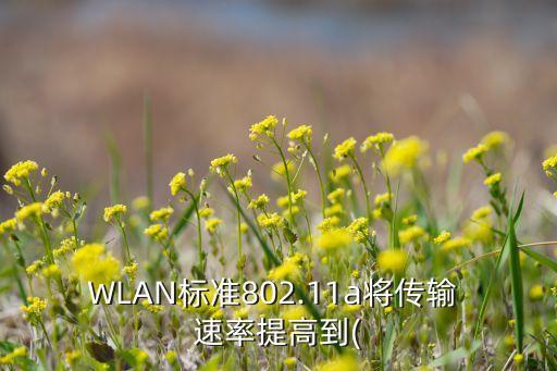 wlan标准802.11a将传输 速率提高到(