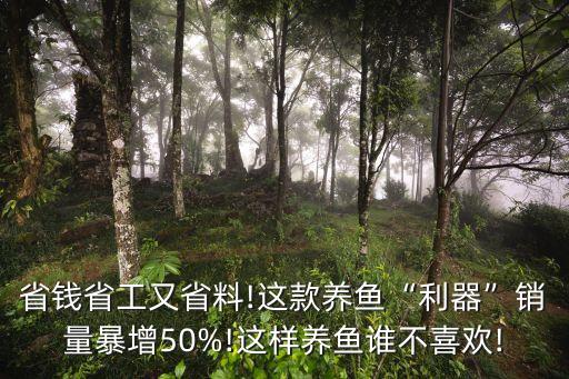 省钱省工又省料!这款养鱼“利器”销量暴增50%!这样养鱼谁不喜欢!