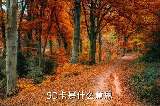 sd卡是什么意思