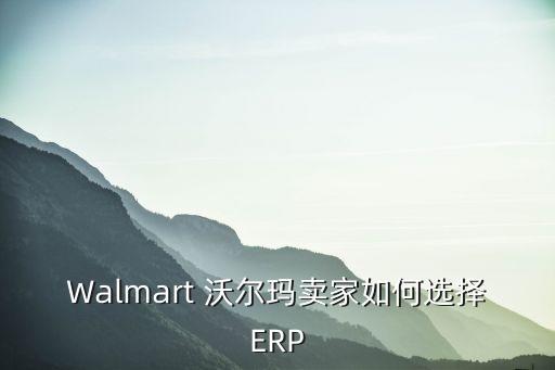 walmart 沃尔玛卖家如何选择erp