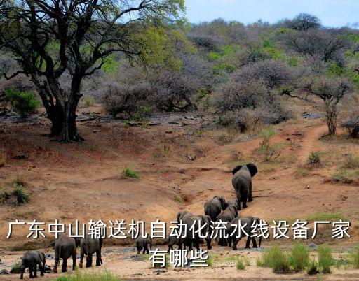 广东中山输送机自动化流水线设备厂家有哪些