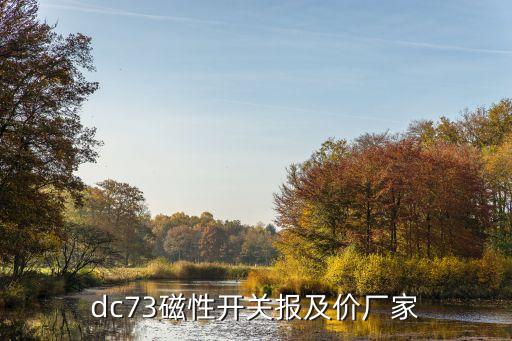 dc73磁性开关报及价厂家