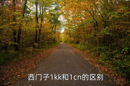  西门子1kk和1cn的区别