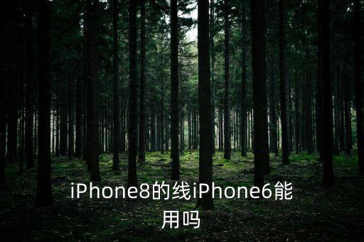 iphone8的线iphone6能用吗