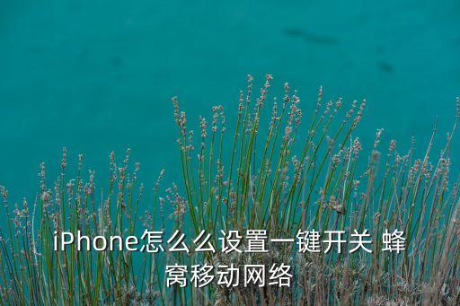 iphone怎么么设置一键开关 蜂窝移动网络