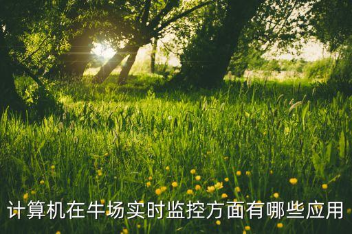 计算机在牛场实时监控方面有哪些应用