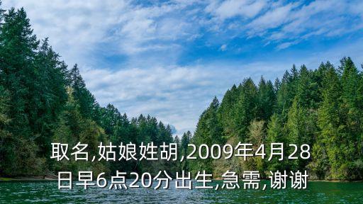 取名,姑娘姓胡,2009年4月28日早6点20分出生,急需,谢谢