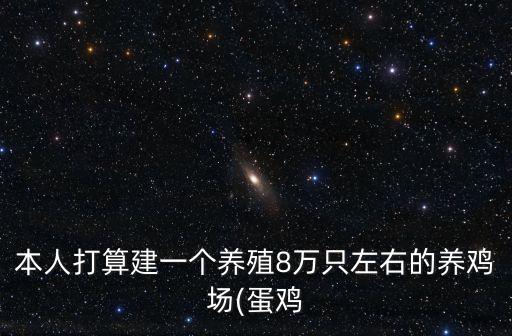 本人打算建一个养殖8万只左右的养鸡场(蛋鸡