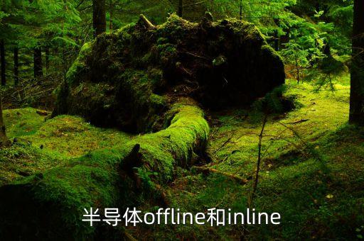 半导体offline和inline