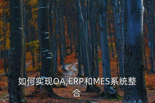 如何实现oa,erp和mes系统整合