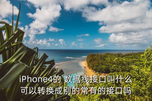 iphone4的 数据线接口叫什么可以转换成别的常有的接口吗