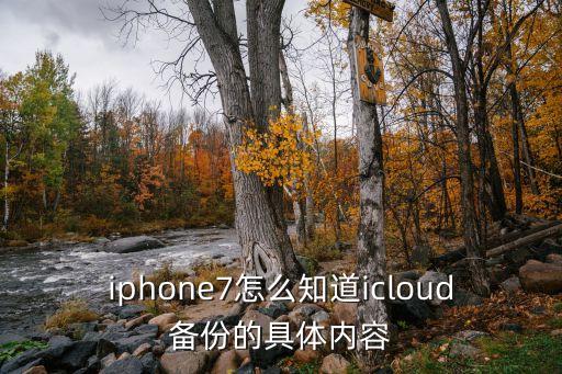 iphone7怎么知道icloud备份的具体内容