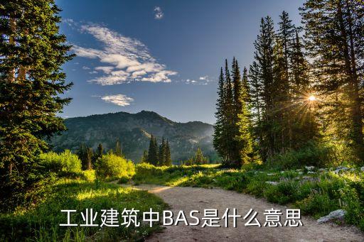 工业建筑中bas是什么意思