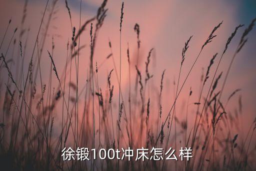 徐锻100t冲床怎么样