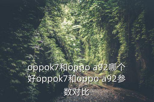 a92,摇手机不亮屏和a92哪个更好用?