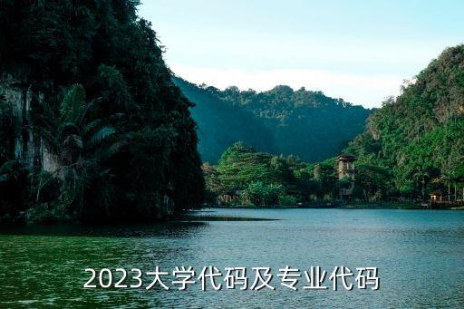 2023大学代码及专业代码