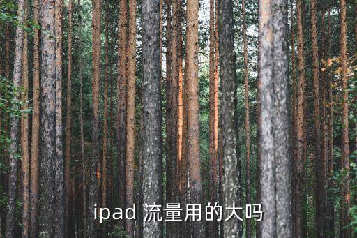 ipad 流量用的大吗