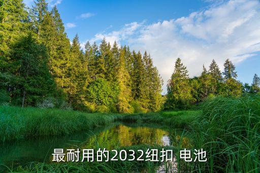 最耐用的2032纽扣 电池