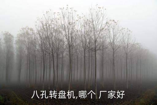 八孔转盘机,哪个 厂家好