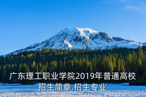 广东理工职业学院2019年普通高校招生简章,招生专业