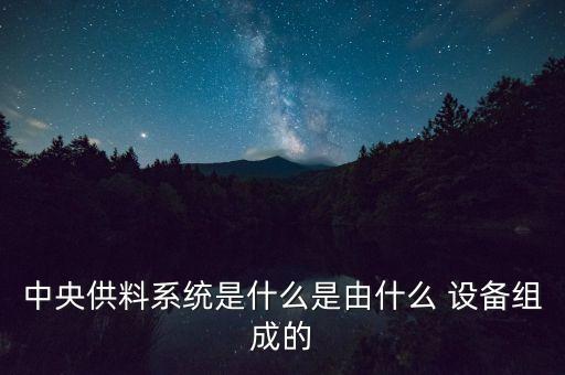 中央供料系统是什么是由什么 设备组成的