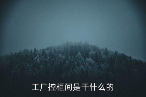 工厂控柜间是干什么的