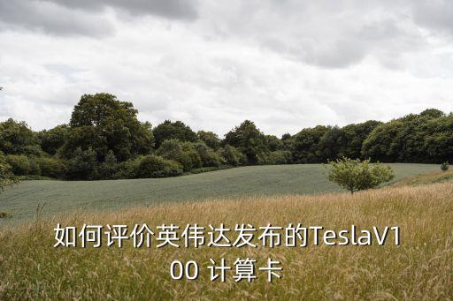 如何评价英伟达发布的teslav100 计算卡