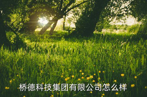 桥德科技集团有限公司怎么样