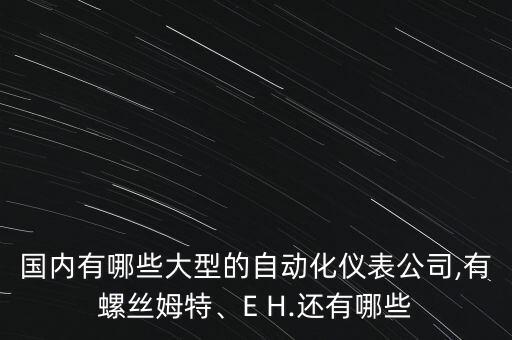 国内有哪些大型的自动化仪表公司,有螺丝姆特、e h.还有哪些