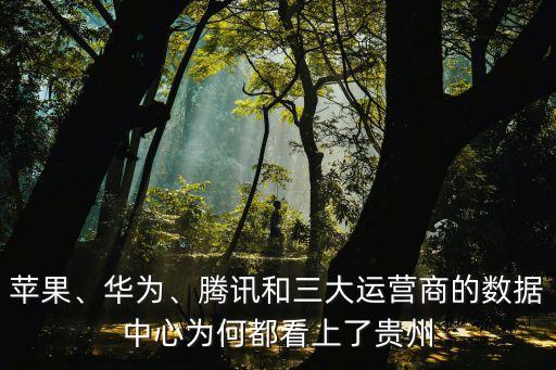 苹果、华为、腾讯和三大运营商的数据中心为何都看上了贵州