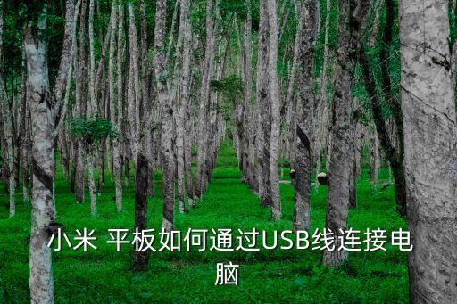  小米 平板如何通过usb线连接电脑