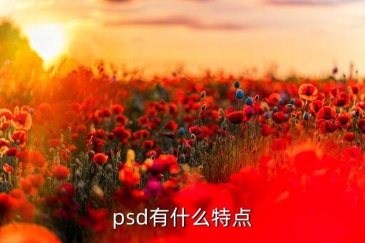 psd有什么特点