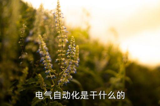 电气自动化是干什么的