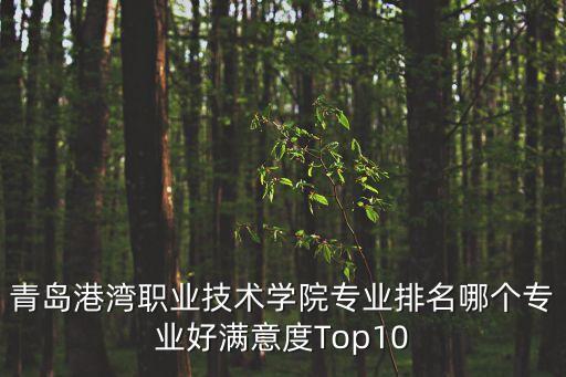 青岛港湾职业技术学院专业排名哪个专业好满意度top10