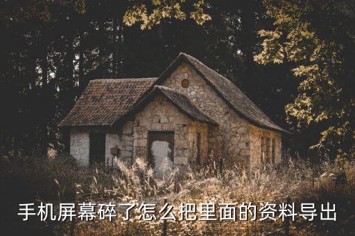 手机屏幕碎了怎么把里面的资料导出