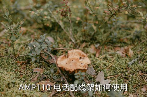 amp110 电话配线架如何使用