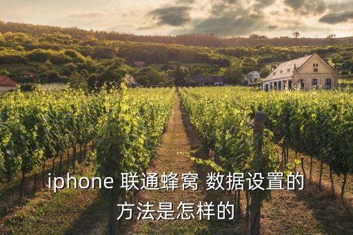 iphone 联通蜂窝 数据设置的方法是怎样的