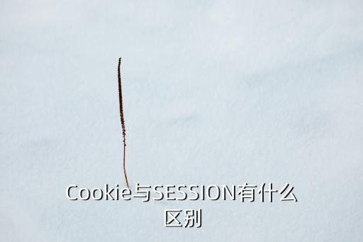 cookie与session有什么区别