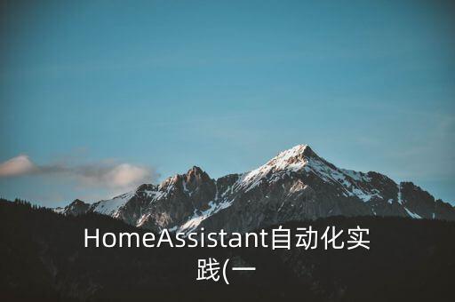 homeassistant自动化实践(一