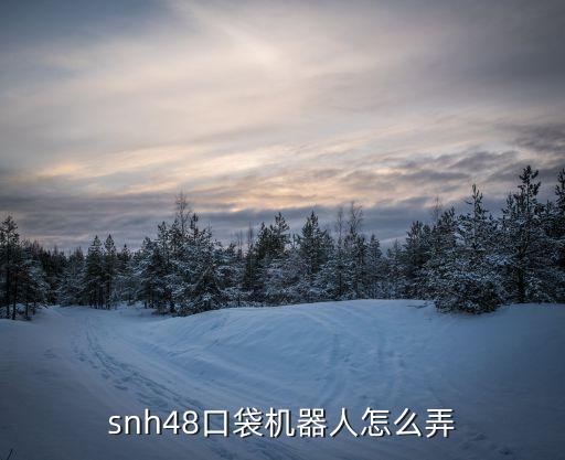 snh48口袋机器人怎么弄