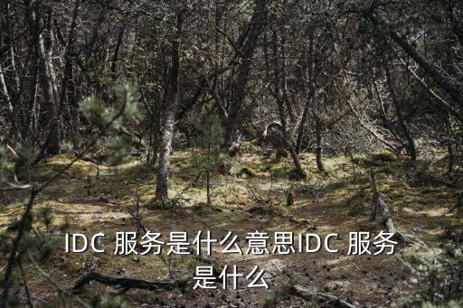 idc 服务是什么意思idc 服务是什么