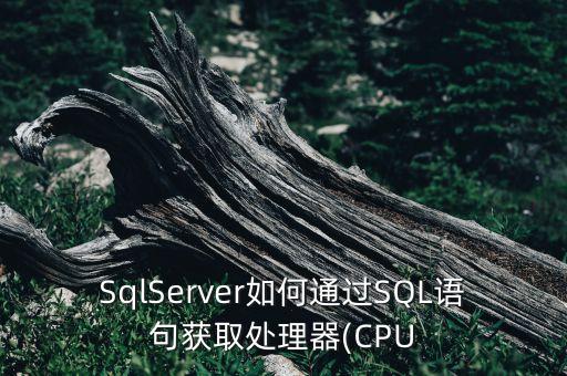 sqlserver如何通过sql语句获取处理器(cpu