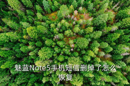  魅蓝note5手机短信删掉了怎么 恢复