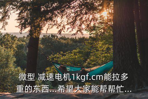 微型 减速电机1kgf.cm能拉多重的东西…希望大家能帮帮忙…