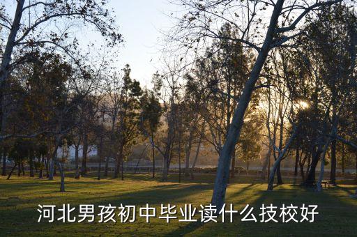 河北男孩初中毕业读什么技校好