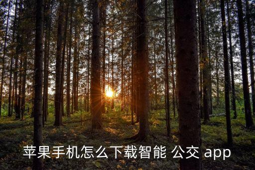 苹果手机怎么下载智能 公交 app