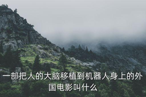 一部把人的大脑移植到机器人身上的外国电影叫什么